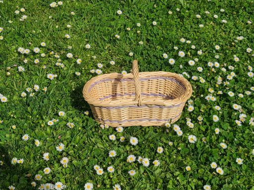 Petit panier à fraise liseré bleu 